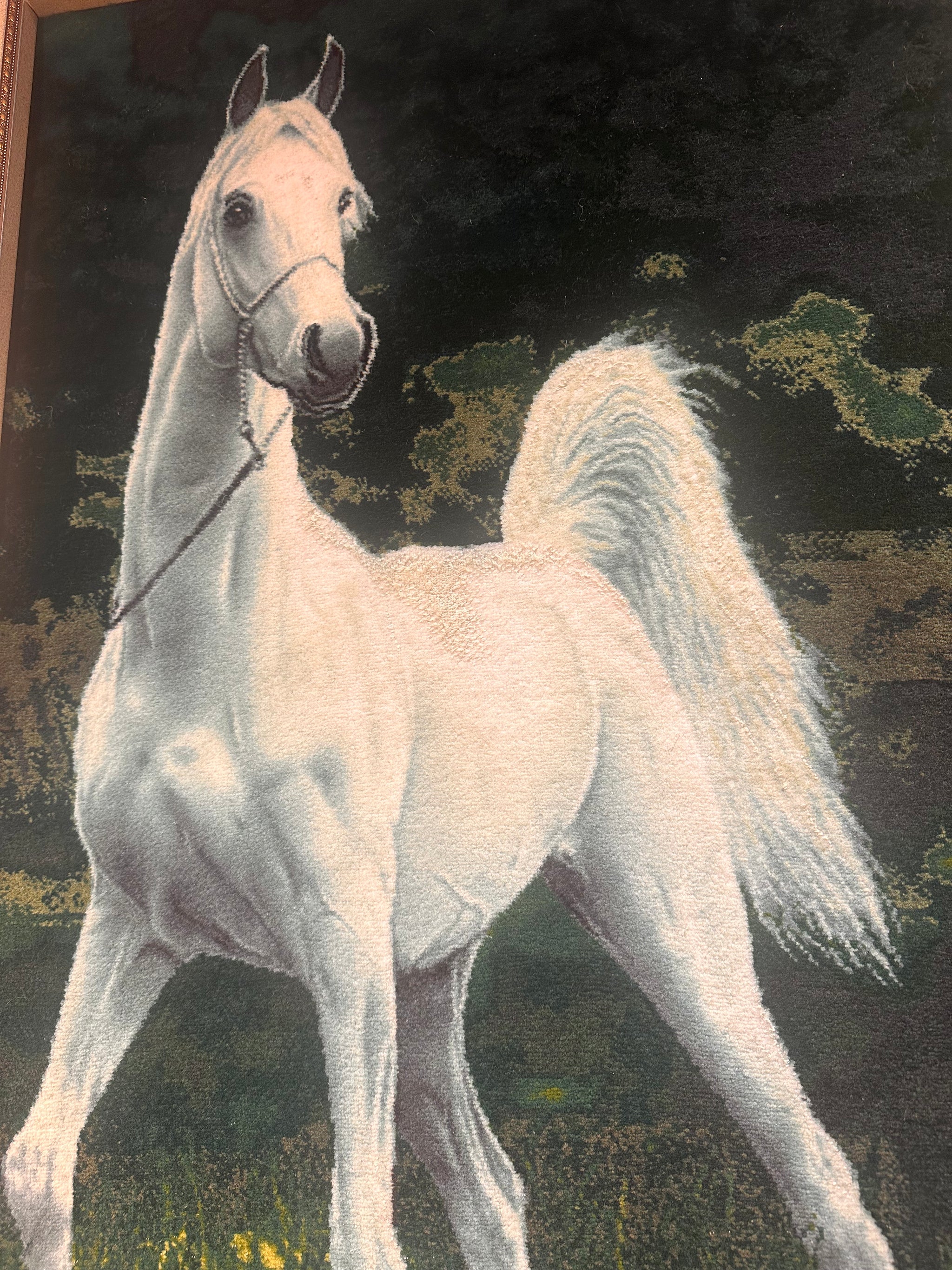 額入り　ペルシャ絨毯　馬　　絨毯は卓上サイズ 額入り ペルシャ絨毯 馬 絨毯は卓上サイズ m18465804557_1.jpg