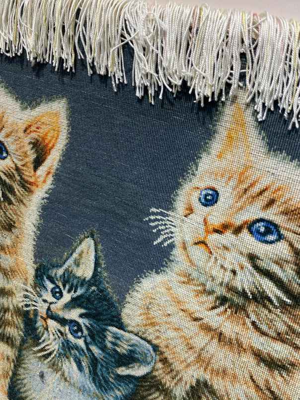 ペルシャ絵画絨毯 [絨毯]47×66cm [額込]69×89cm 手織り 猫 (PPC-0054)５