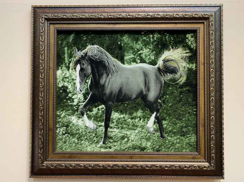 ペルシャ絵画絨毯 [絨毯]53×61cm [額込]75×83cm 手織り 馬 (PPC-0075)