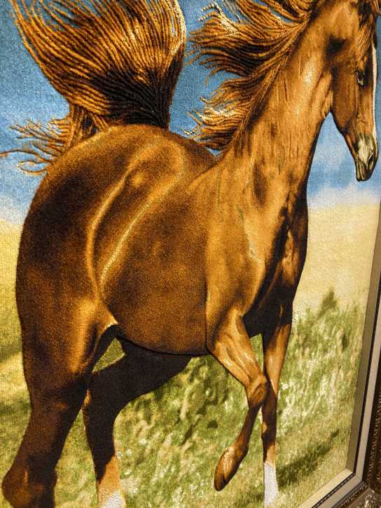ペルシャ絵画絨毯 [絨毯]57×84cm [額込]83×109cm 手織り 馬 (PPC